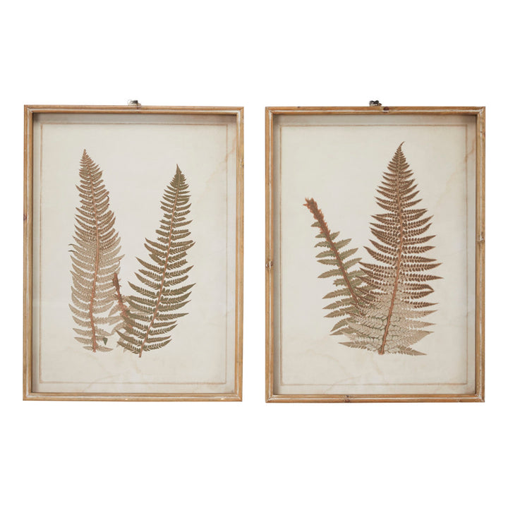 Large Vintage Fern Illustrations - 2 Piece Picture Frame Graphic Art Set on Wood Sand & Stable™