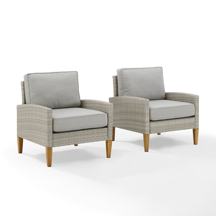 Gabor Patio Chair with Cushions (Set of 2) Birch Lane™ Cushion Color: Gray