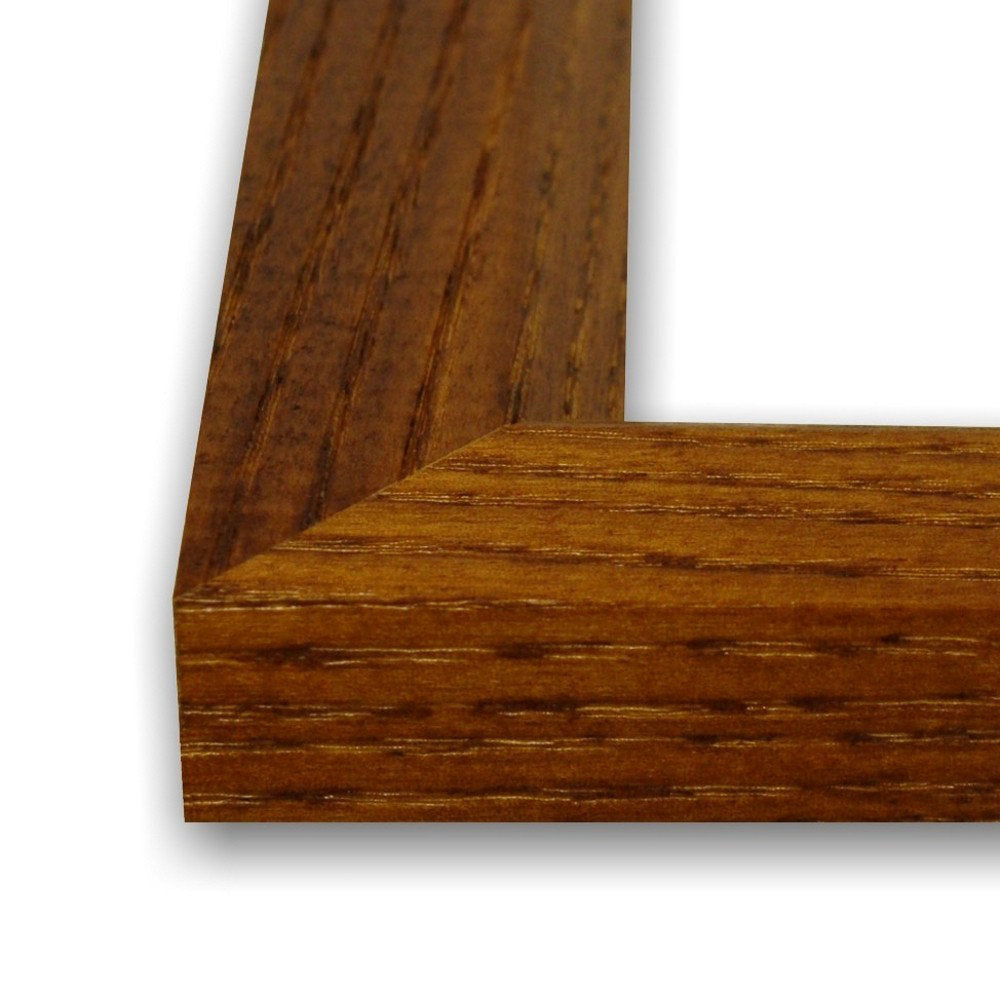 Single Picture Frame Alcott Hill® Color: Brown Photo Size: 13" x 19"