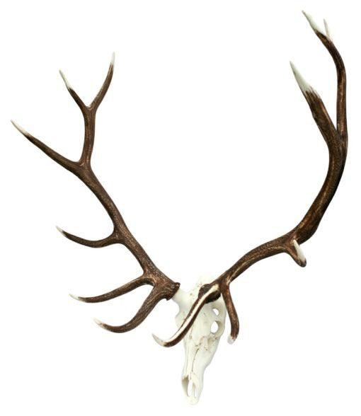 Elk European Wall Décor Union Rustic
