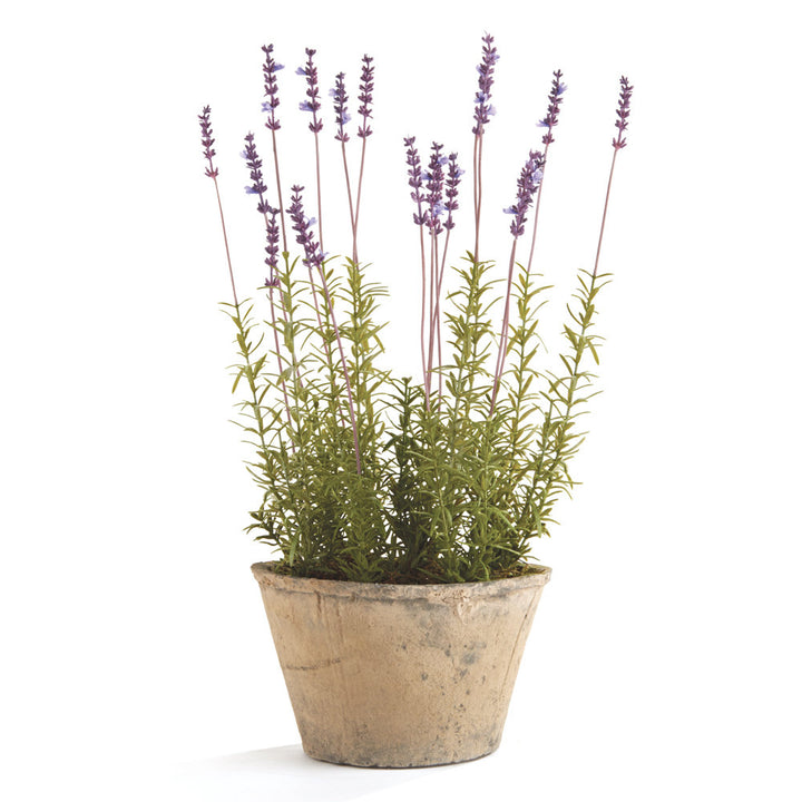 French Lavender Floral Arrangement in Pot Kelly Clarkson Home