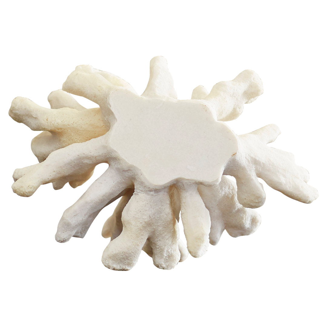 Pickel Coral Decor Sculpture Highland Dunes