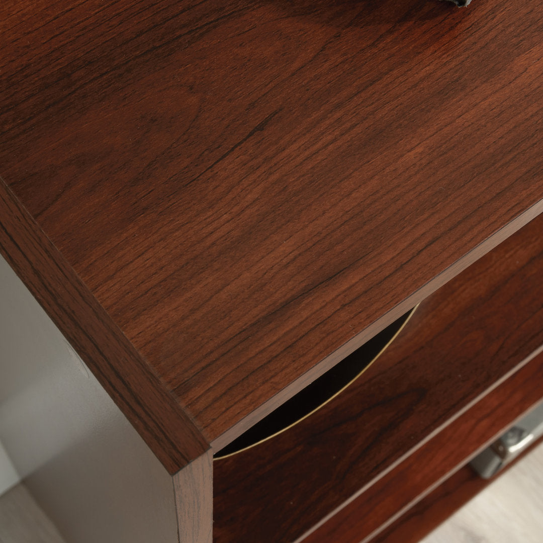 Arisztid 35.28" H x 24.57" W Standard Bookcase Lark Manor™ Color: Brook Cherry