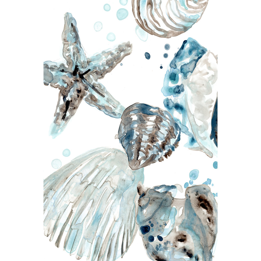 Cerulean Seashells II by June Erica Vess - Wrapped Canvas Painting Print Beachcrest Home™ Size: 48" H x 32" W   Format: Black Single Framed, Mat Included: No