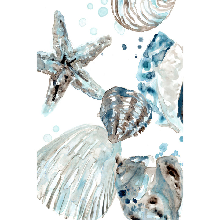 Cerulean Seashells II by June Erica Vess - Wrapped Canvas Painting Print Beachcrest Home™ Size: 48" H x 32" W   Format: Black Single Framed, Mat Included: No