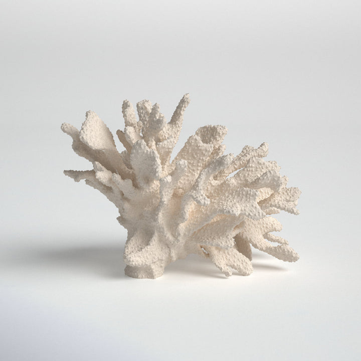 Kristen Coral Decor Birch Lane™