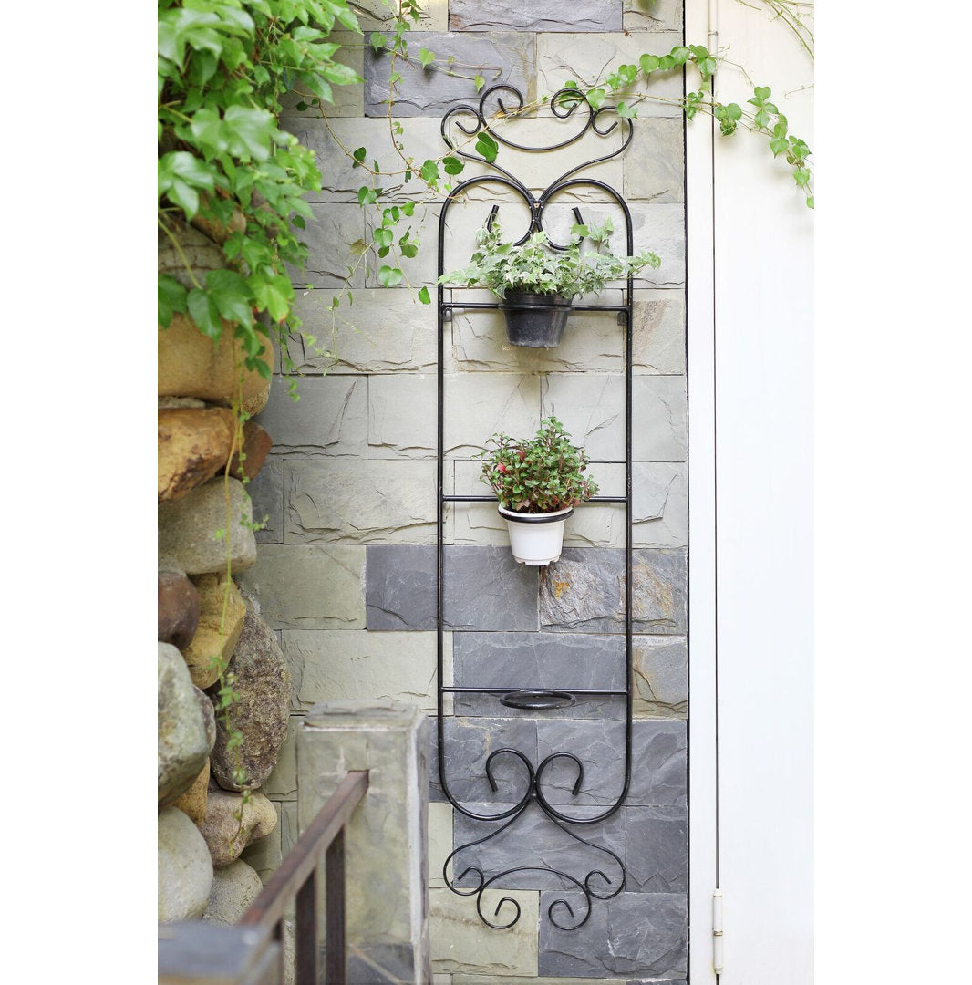 Colona Cast Iron Wall Planter Fleur De Lis Living