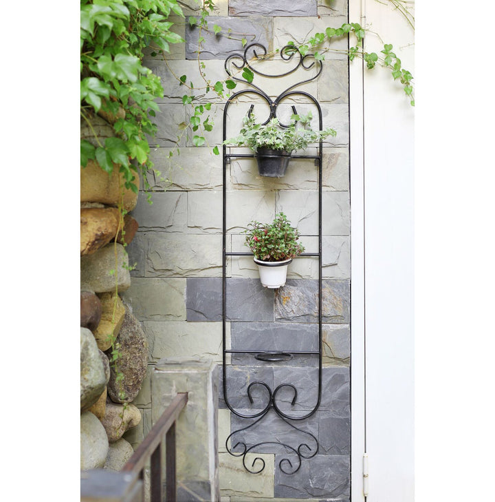 Colona Cast Iron Wall Planter Fleur De Lis Living