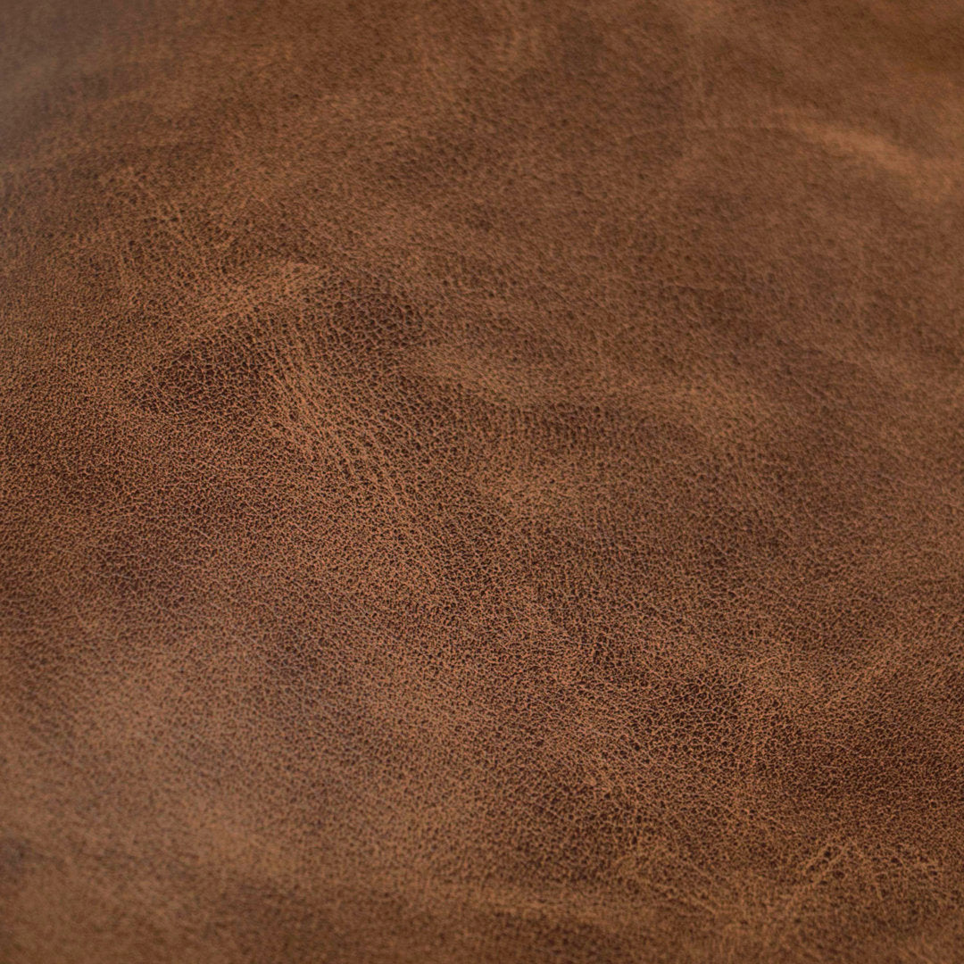 Rand Vegan Leather Bed AllModern Color: Classic Otter Performance Velvet, Leg Color: Brass Size: Twin