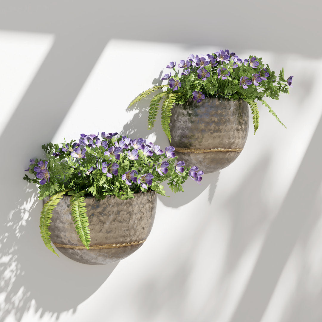 Clarence 2-Piece Resin Indoor/Outdoor Wall Planter Set Steelside™