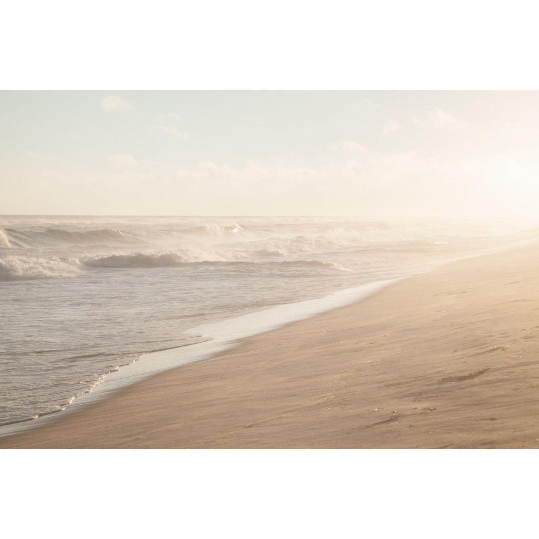 Cooper Beach by Rosemarycard - Wrapped Canvas Photograph Highland Dunes Size: 48" W x 32" H
