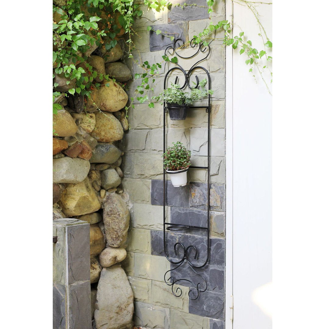 Colona Cast Iron Wall Planter Fleur De Lis Living