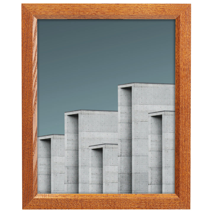 Single Picture Frame Alcott Hill® Color: Brown Photo Size: 13" x 19"