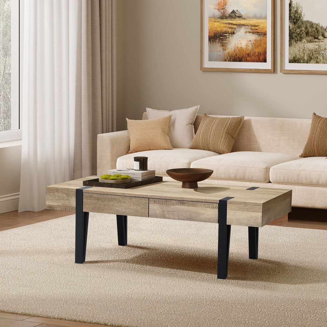 Regalado 2-Drawer Coffee Table Trent Austin Design®
