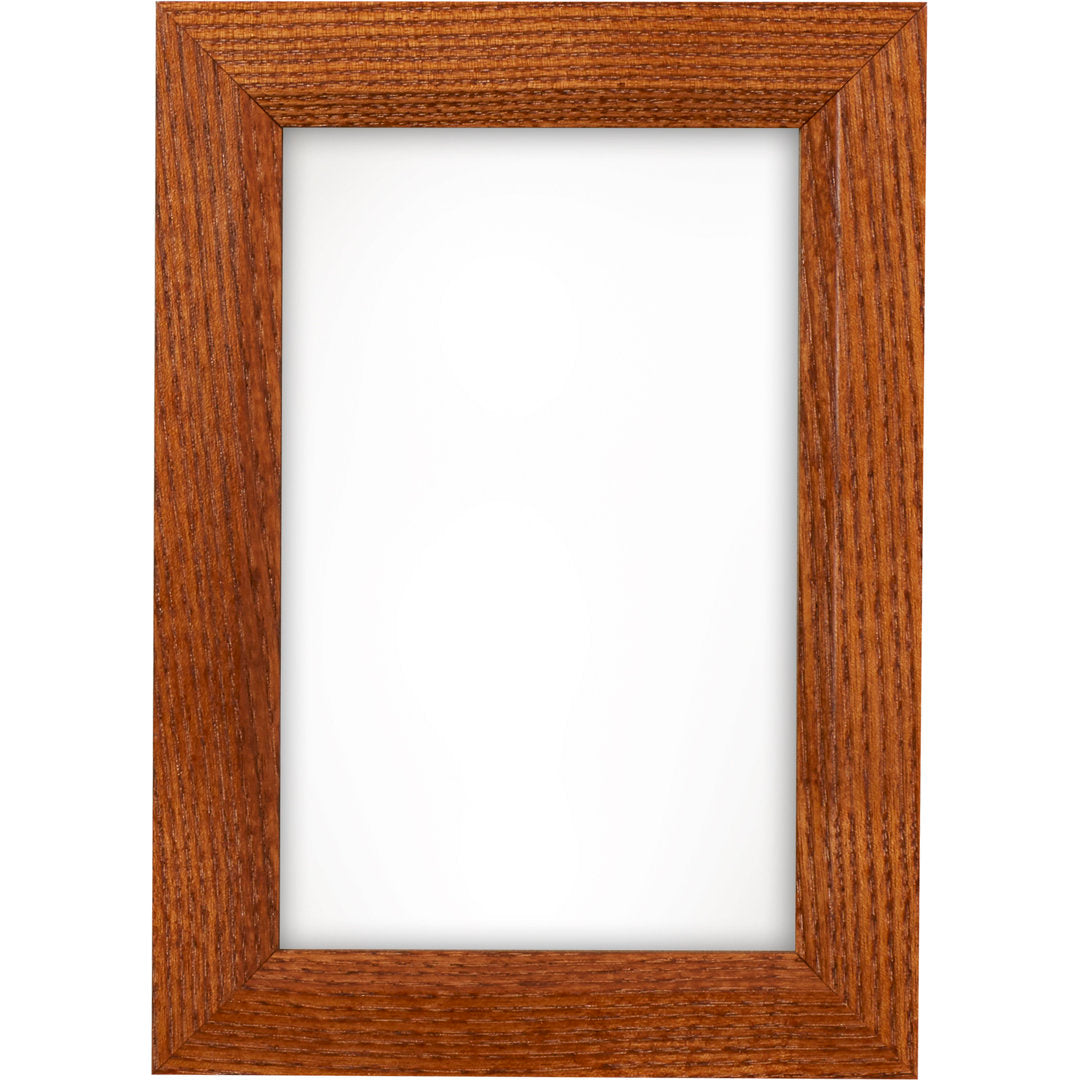 Single Picture Frame Alcott Hill® Color: Brown Photo Size: 13" x 19"