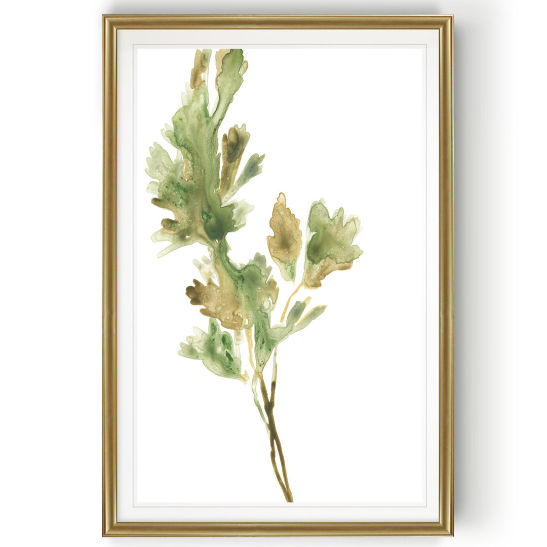 Earthtone Herbs I' Painting on Canvas Gracie Oaks Size: 26.5" H x 36.5" W x 1.5" D Format: Gold Framed