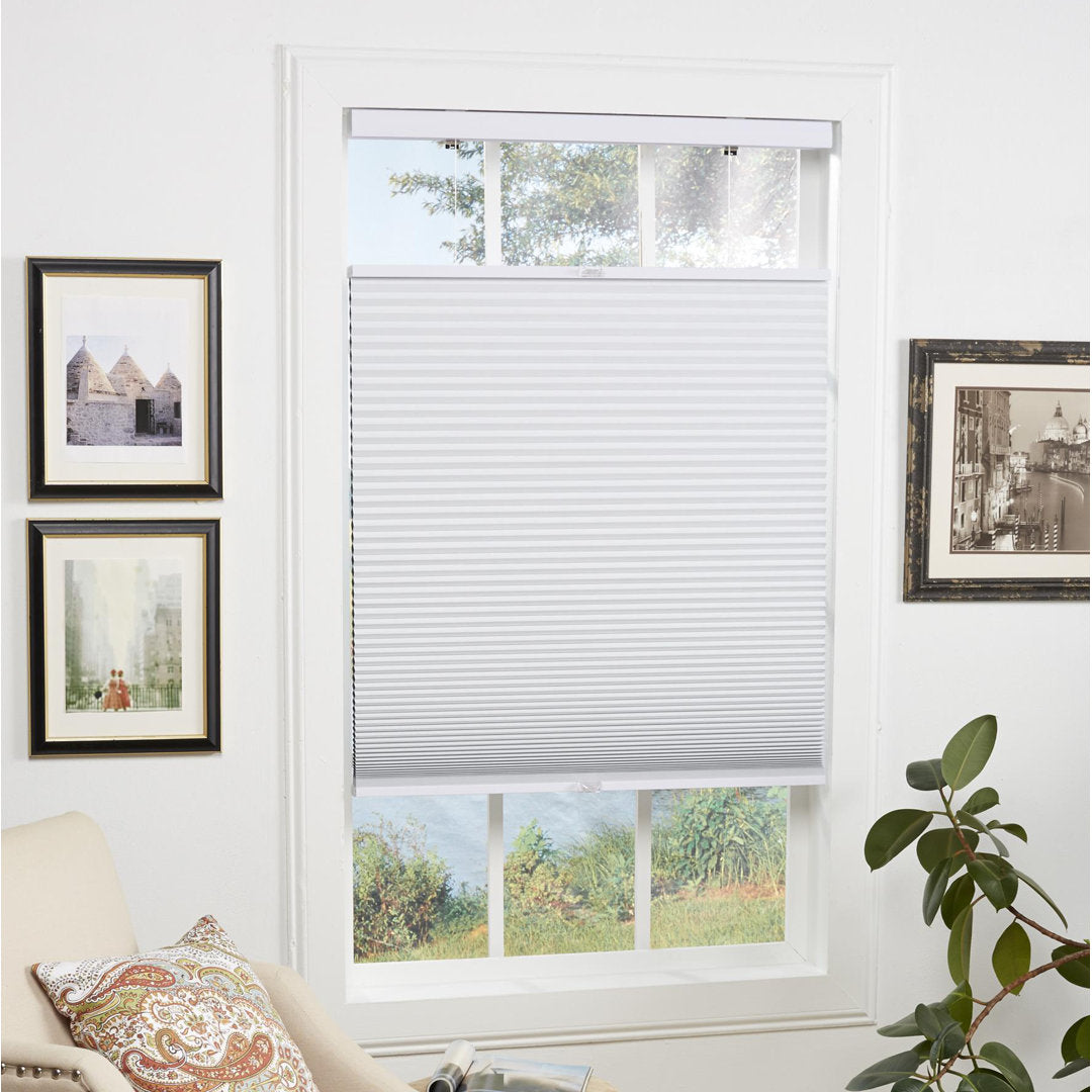1 inch Cordless Semi-Sheer Light Filtering Top Down Bottom Up Cellular Shade Symple Stuff Blind Size: 32.5"W x 72"L Finish: Gray Cloud