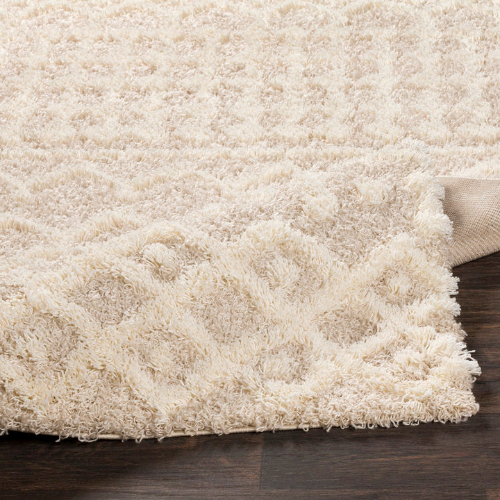Lurdes Geometric Area Rug Langley Street® Rug Size: Runner 2'7" x 12'