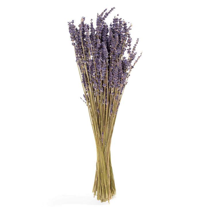 Lavender Sprays Beachcrest Home™