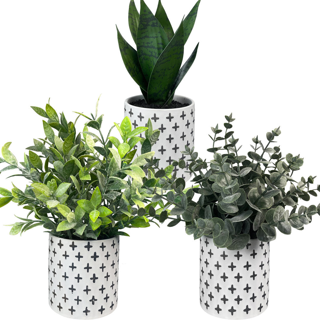 3 - Piece Artificial Eucalyptus Plant in Pot Set (Set of 3) Primrue