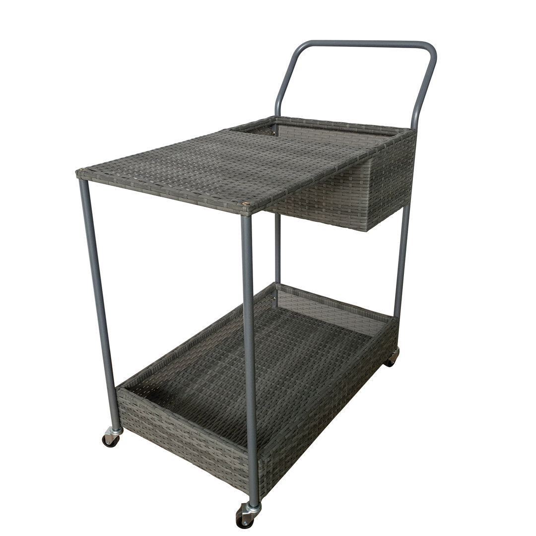 Chambord Bar Cart with Aluminum Frame Birch Lane™