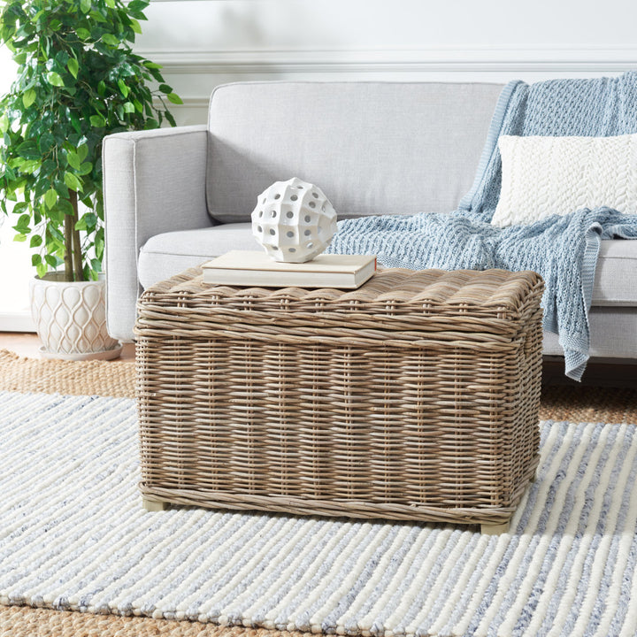 Whyte Wicker Trunk Bay Isle Home™