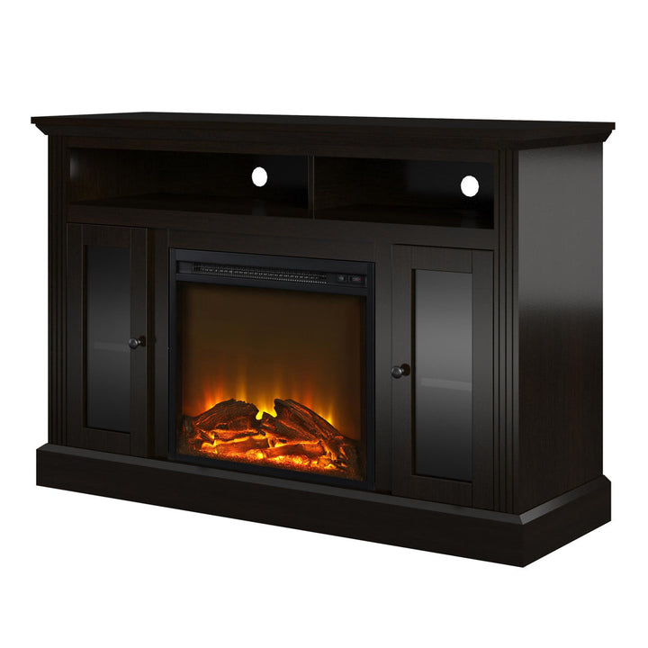 Tucci TV Stand for TVs up to 50" with Electric Fireplace Included Darby Home Co Color: Espresso