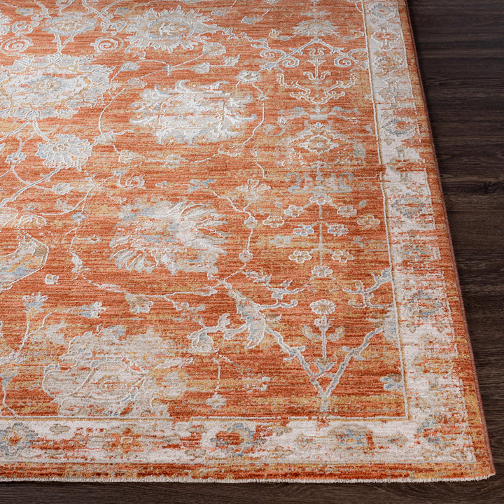 Conlan Oriental Burnt Orange Area Rug Birch Lane™ Rug Size: Rectangle 7'10" x 10'3"
