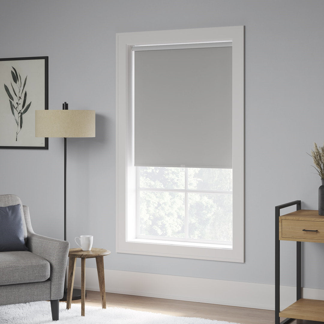 Blackout Cordless Roller Shade Symple Stuff Color: Light Gray Blind Size: 52.5"W x 74"L