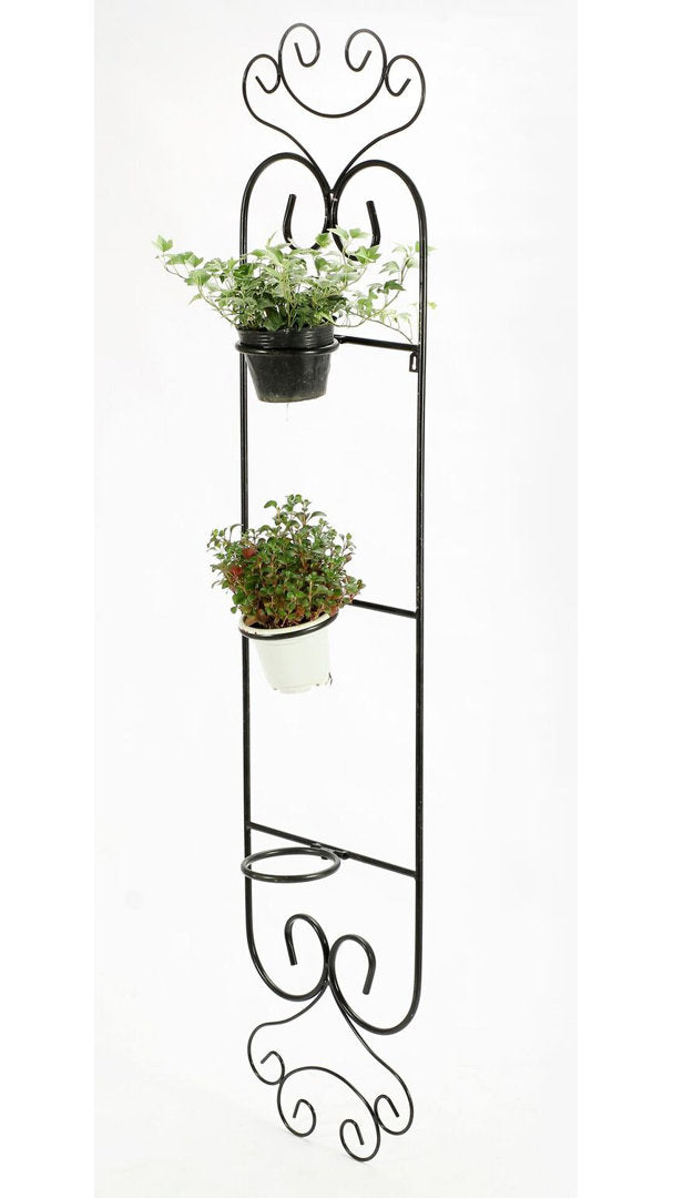 Colona Cast Iron Wall Planter Fleur De Lis Living