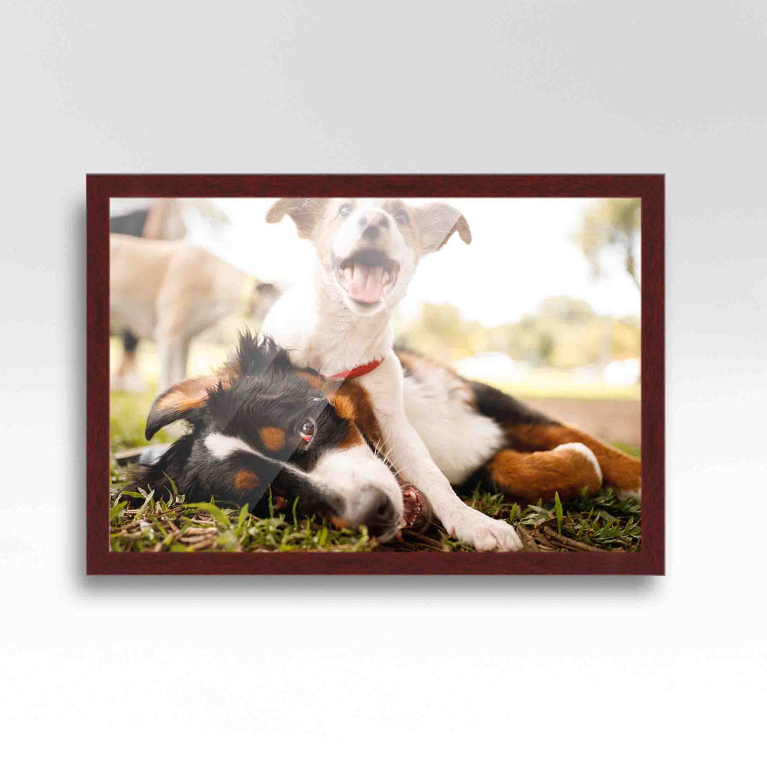 Wood Single Picture Frame in Brown CustomPictureFrames.com Color: Brown Picture Size: 15" x 20"