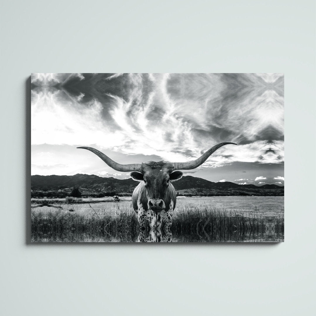 Black And White Longhorn Cow I - Wrapped Canvas Photograph Steelside™ Size: 32" H x 48" W   Format: Unframed, Mat Included: No