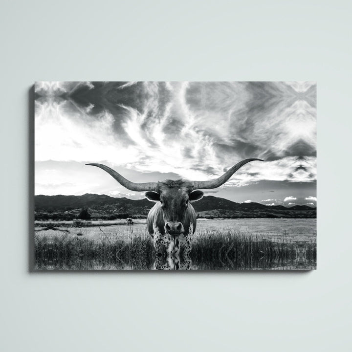 Black And White Longhorn Cow I - Wrapped Canvas Photograph Steelside™ Size: 32" H x 48" W   Format: Unframed, Mat Included: No