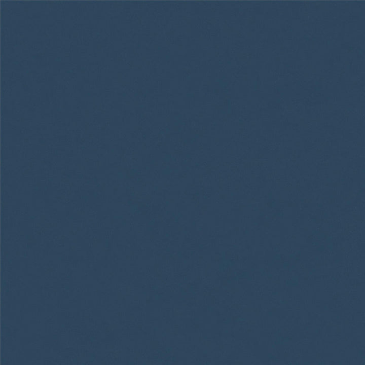 Monarch Hill Haven Kids 47.48" W Writing Desk Little Seeds Color: Navy