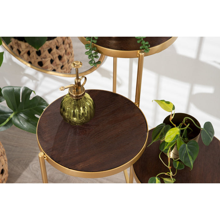Logan Square Round Multi-Tiered Solid Wood Plant Stand Mercury Row® Color: Walnut Brown