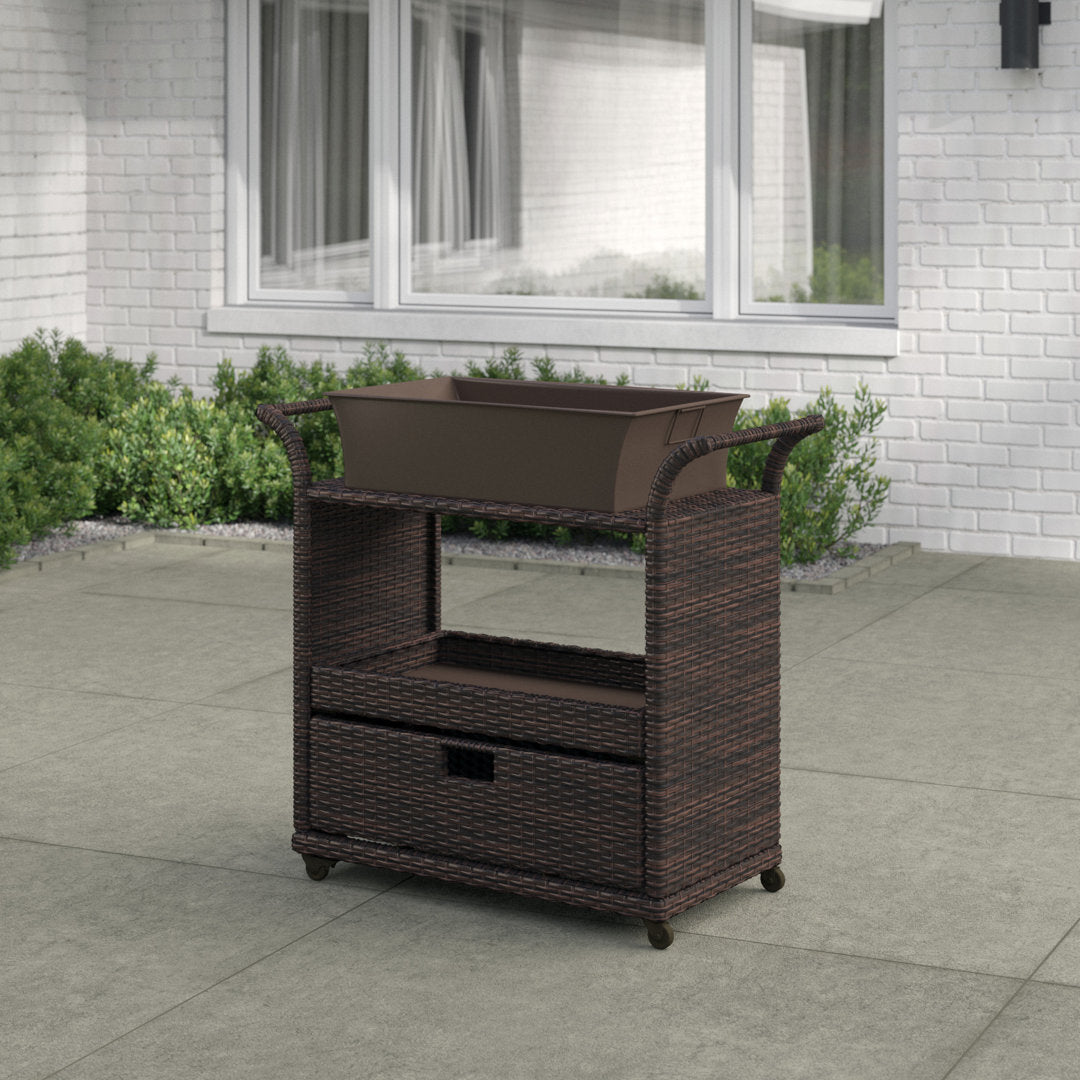 Zytavious Bar Cart with Iron and Wicker Red Barrel Studio®