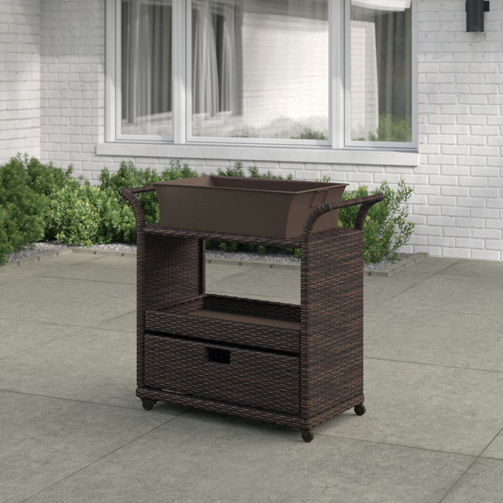 Zytavious Bar Cart with Iron and Wicker Red Barrel Studio®