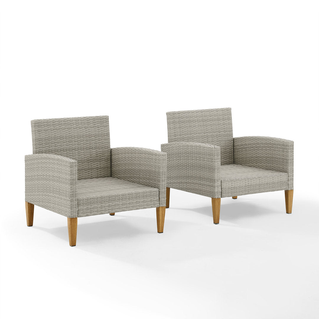 Gabor Patio Chair with Cushions (Set of 2) Birch Lane™ Cushion Color: Gray