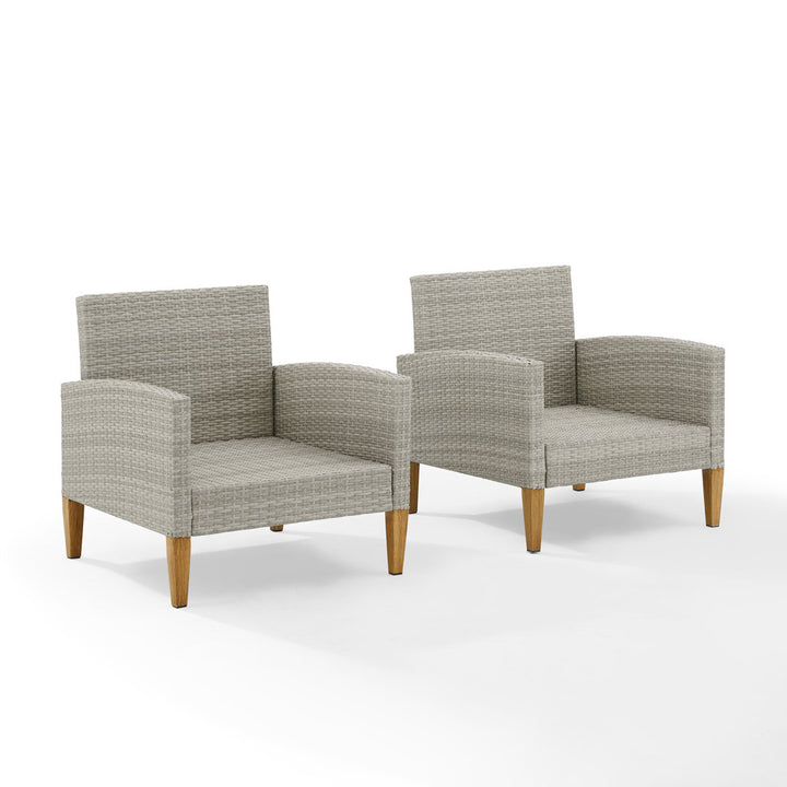 Gabor Patio Chair with Cushions (Set of 2) Birch Lane™ Cushion Color: Gray