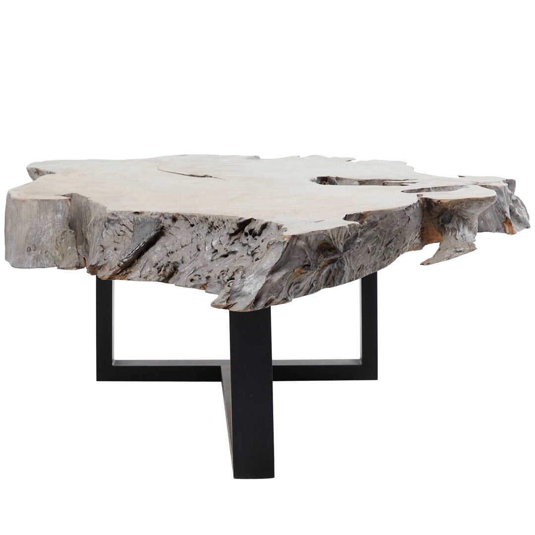 Loudon Teak Wood Handmade Live Edge Wood Slab Living Room Coffee Table with Black T Stand Base Loon Peak®