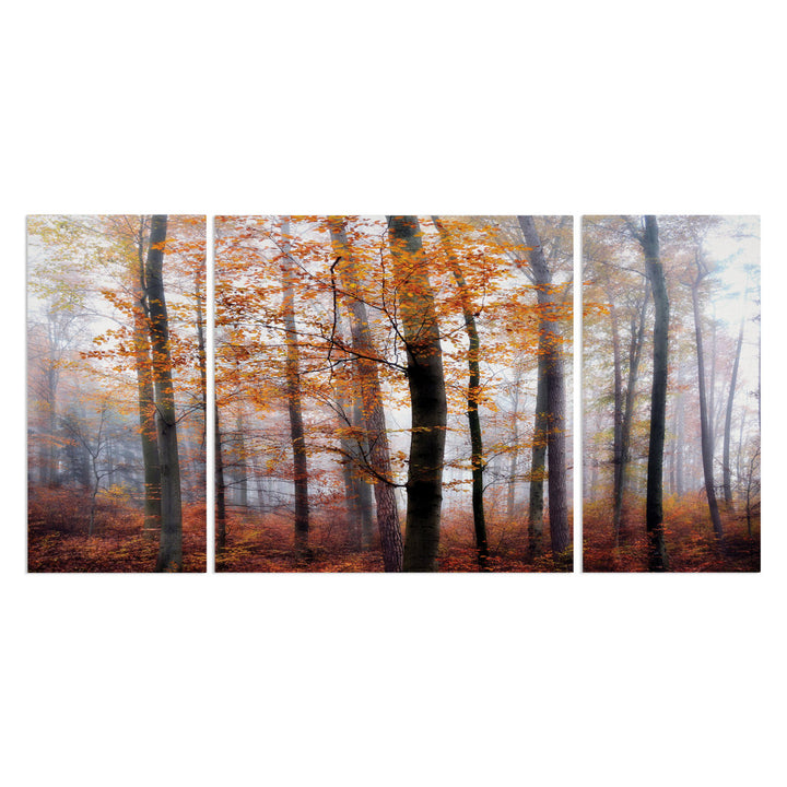 Lost in the Forest - 3 Piece Wrapped Canvas Multi-Piece Image Print Set Alcott Hill® Overall Size: 32" H x 64" W x 1.5" D