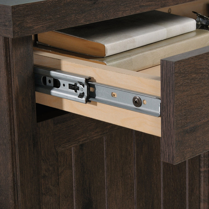 Costa 2 - Door Accent Cabinet Gracie Oaks Color: Coffee Oak