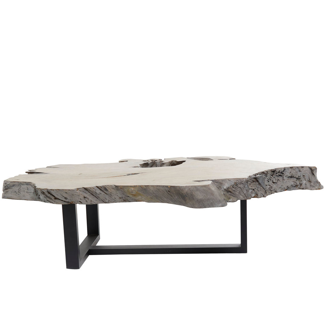 Loudon Teak Wood Handmade Live Edge Wood Slab Living Room Coffee Table with Black T Stand Base Loon Peak®