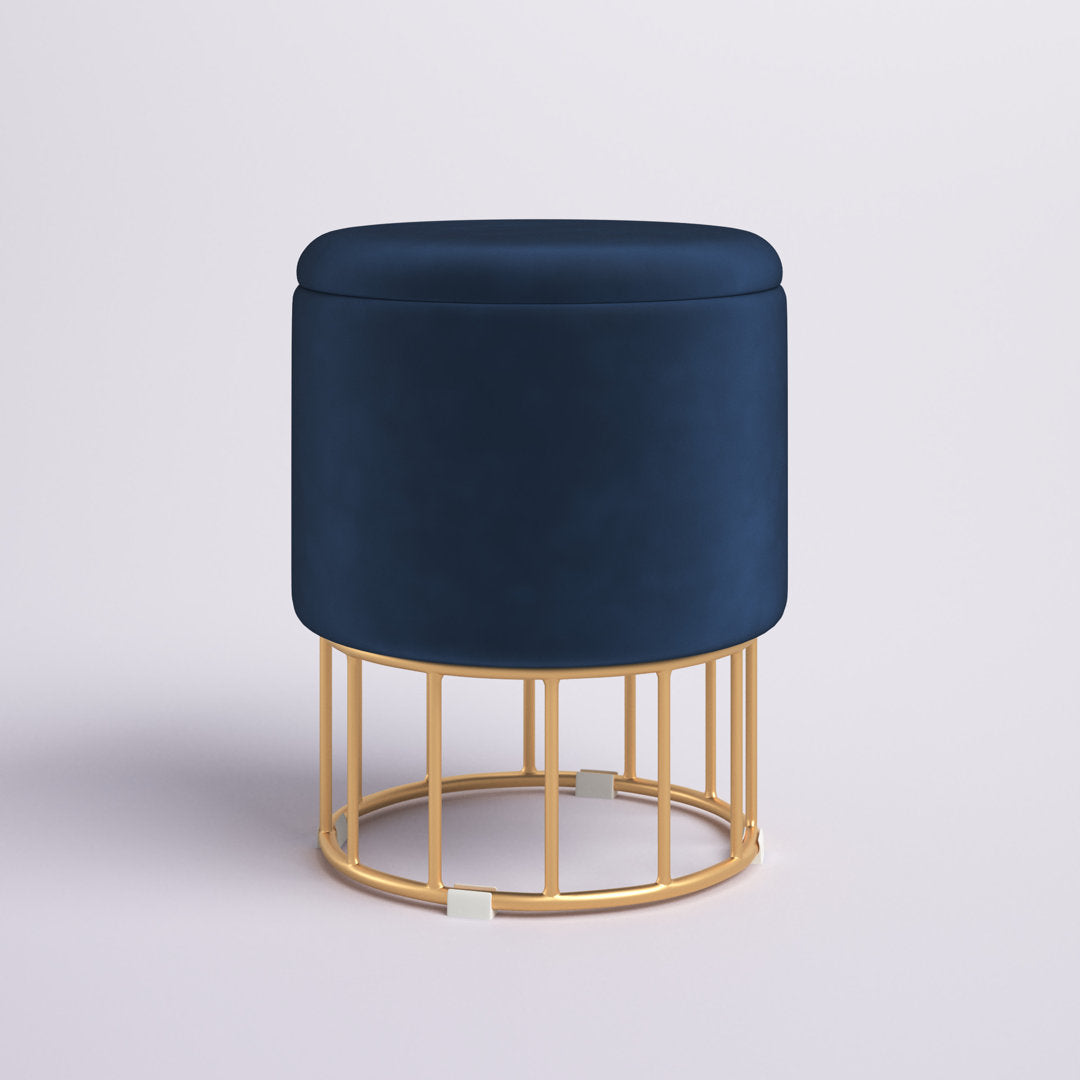 Aleena 13.5" Wide Velvet Round Storage Ottoman Etta Avenue™ Upholstery Color: Blue