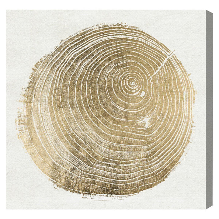 Abstract Cuore di Legno II - Picture Frame Graphic Art Print on Paper Brayden Studio® Size: 21.5" H x 21.5" W x 0.5" D Format: Brown Framed Paper