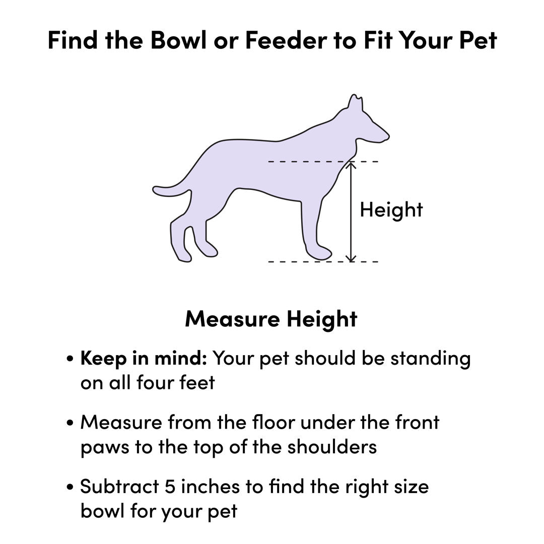 Dan Food Bowl Sam's Pets