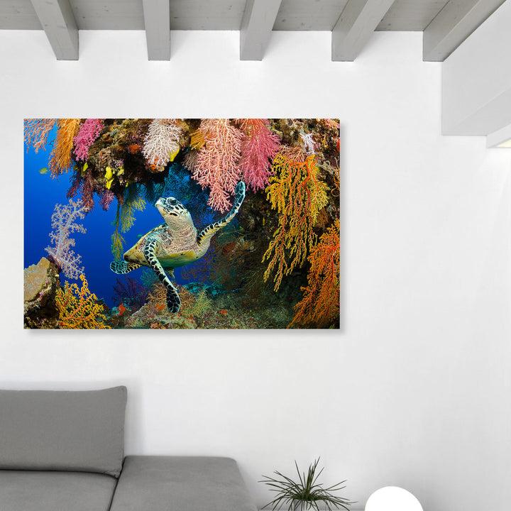 Hawksbill Turtle Fiji - Wrapped Canvas Photograph Print Latitude Run® Size: 36" H x 54" W x 1.5" D