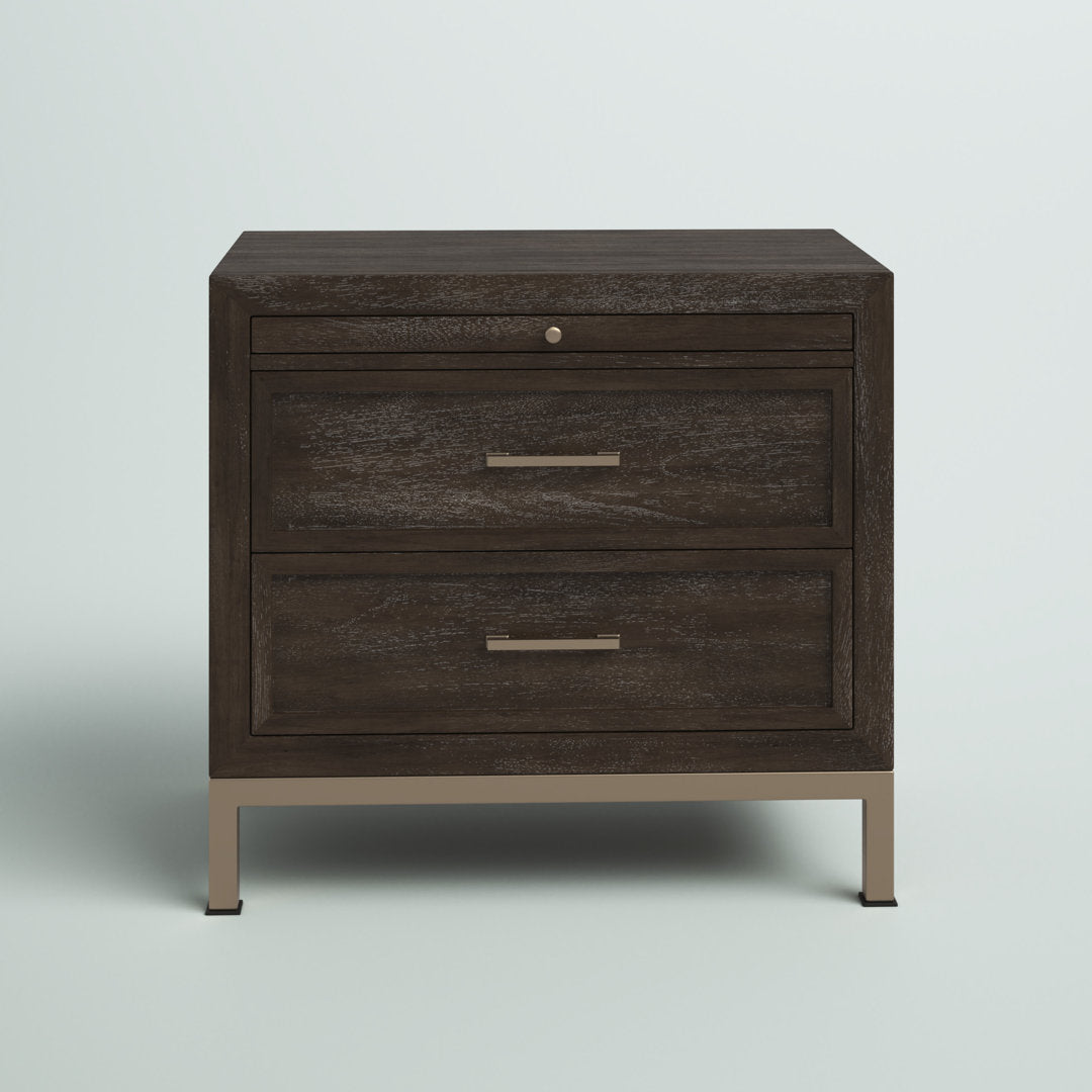 Brinerl 2 - Drawer Nightstand in Brown Mercury Row®