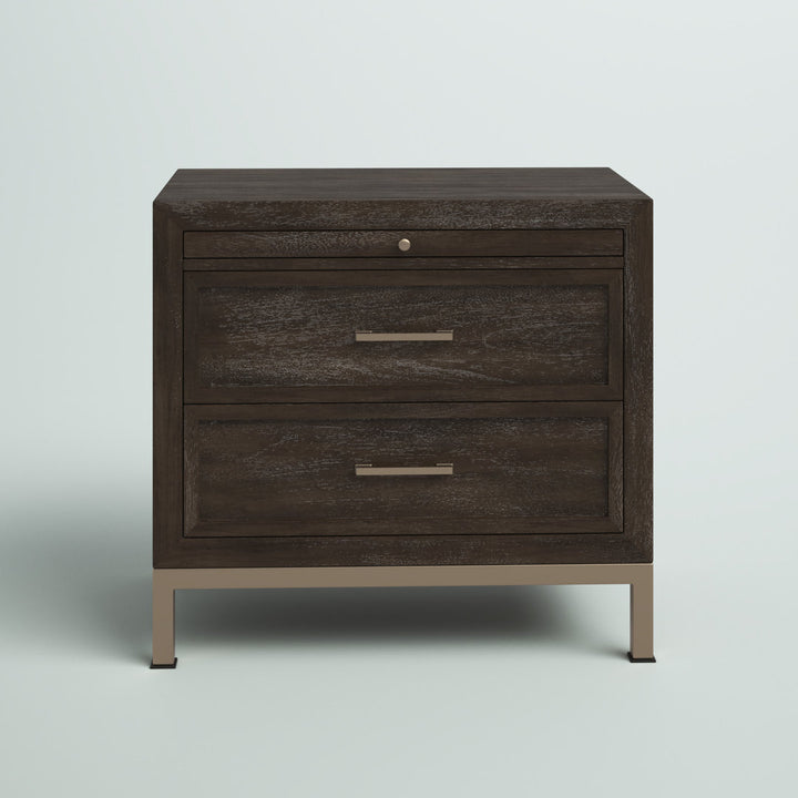 Brinerl 2 - Drawer Nightstand in Brown Mercury Row®