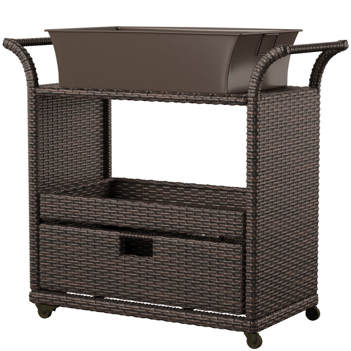 Zytavious Bar Cart with Iron and Wicker Red Barrel Studio®